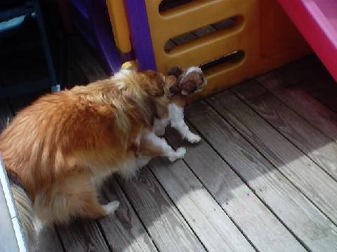Playing together