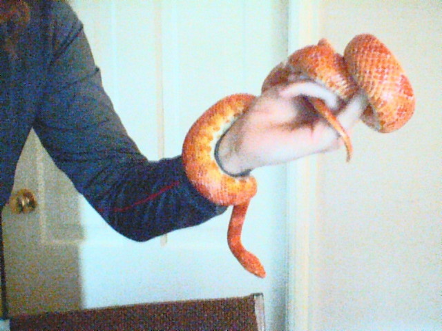 my sister nd slithers