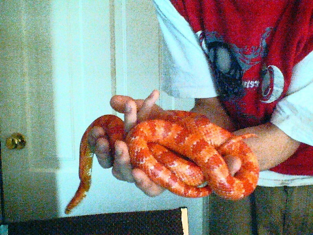gettin big