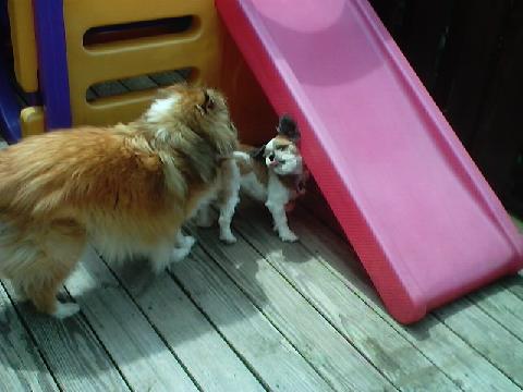 Playing together