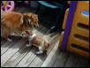 Play time