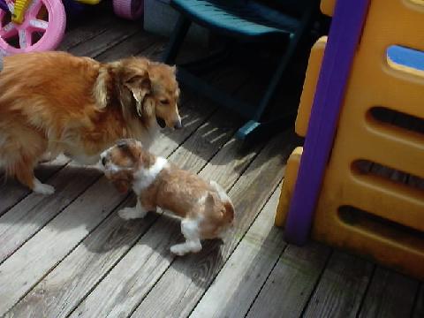 Play time