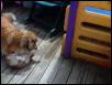 play time