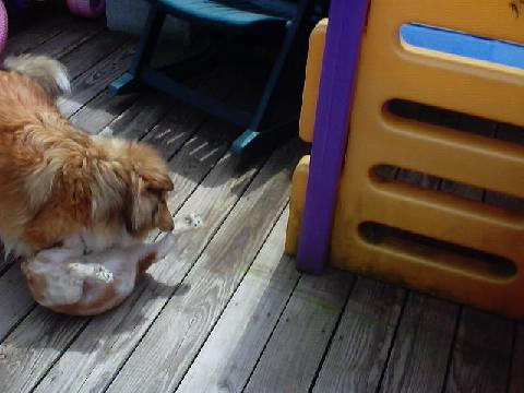 play time
