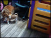play time