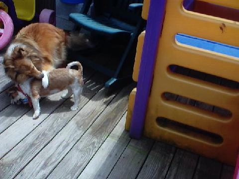 play time