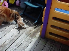 play time
