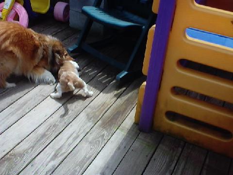 play time