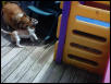 play time