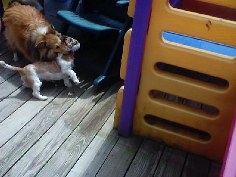 play time