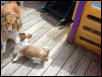 play time