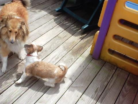 play time