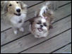 My babies...........