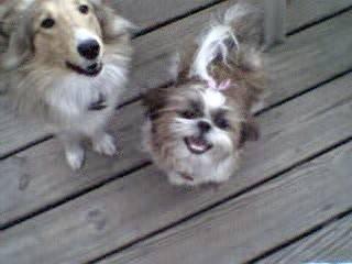 My babies...........