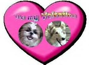 A heart for the Shih tzu's!