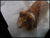 I want to come in and out of the snow!