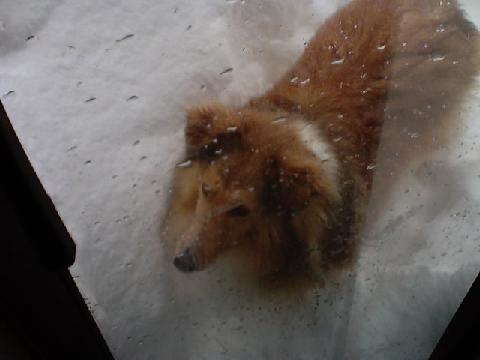 I want to come in and out of the snow!