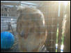 Goldie looking at Daisy's gravesite