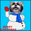 Merry Christmas from Daisy