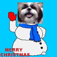 Merry Christmas from Daisy