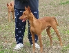 Momma, human Mom, and Armani
