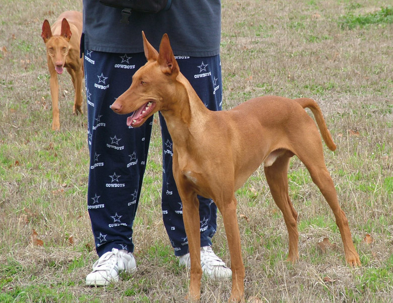 Momma, human Mom, and Armani