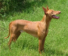 Armani all grown up