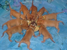 And then there were 10