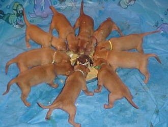 And then there were 10