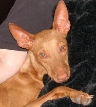 Happy b-day to Kacey, too!