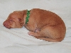 Green String Girl at One Week Old