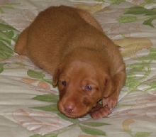 Two Weeks Old