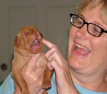 Puppy Breath