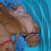 Laid-back like momma Icey?