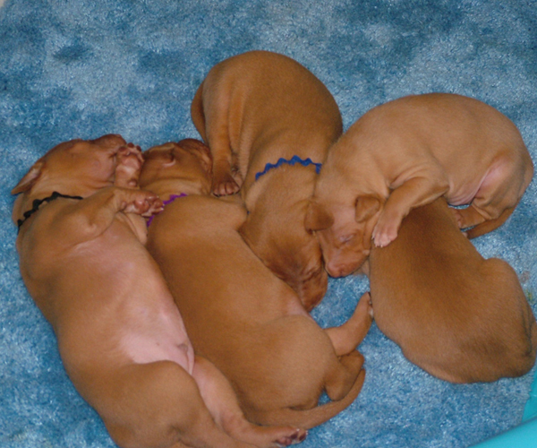 And then they...crashed