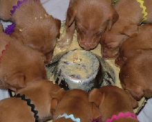 Feedin' Time!