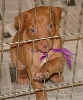 Kacey in Jail