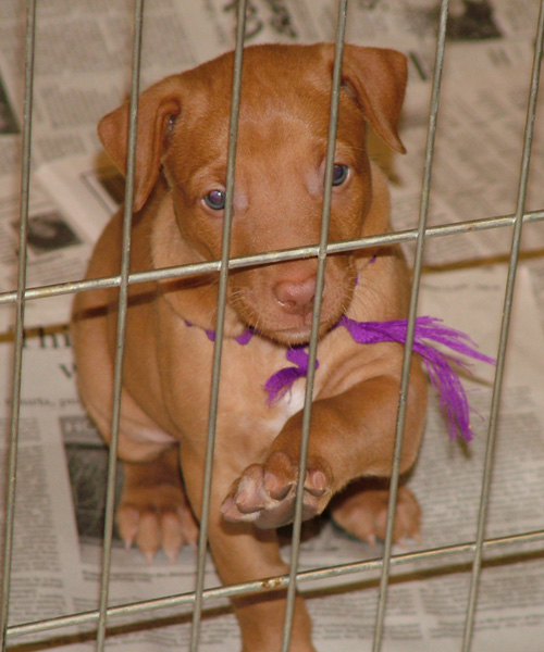 Kacey in Jail