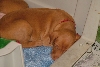 Sleepin' Red String