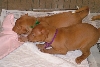 Sisters at play