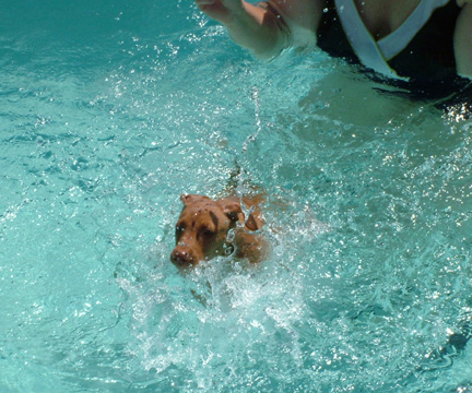 the new Esther Williams?