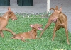 Great-Aunt Nefer & the kids