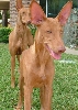 Mom and Son