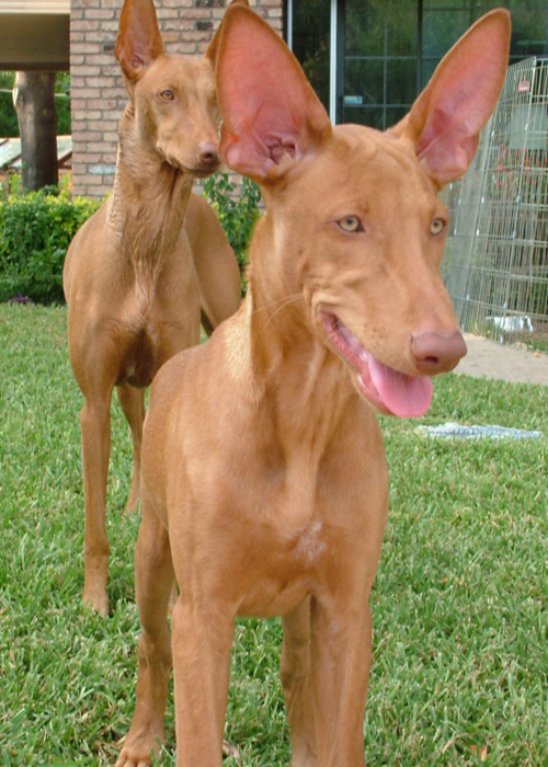 Mom and Son