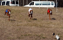 straight track racing in TX