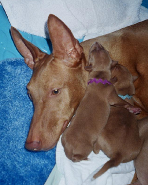 snugglin' with mom