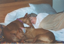 And then they rested.