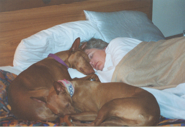 And then they rested.
