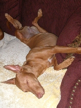 Icey Sleeping