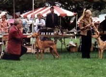 Lompoc 2003